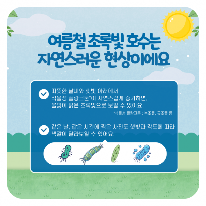 여름철 초록빛 호수는 자연스러운 현상이에요 따뜻한 날씨와 햇빛 아래에서 식물성 플랑크톤이 자연스럽게 증가하면, 물빛이 맑은 초록빛으로 보일 수 있어요. 식물성 플랑크톤: 녹조류, 규조류 등 같은 날, 같은 시간에 찍은 사진도 햇빛과 각도에 따라 색깔이 달라보일 수 있어요.