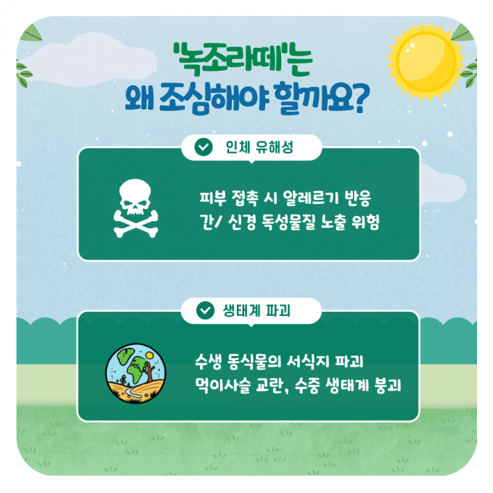 '녹조라떼'는 왜 조심해야 할까요? 인체 유해성 피부 접촉 시 알레르기 반응 간/신경 독성물질 노출 위험 생태계 파괴 수생 동식물의 서식지  파괴 먹이사슬 교란, 수중 생태계 붕괴